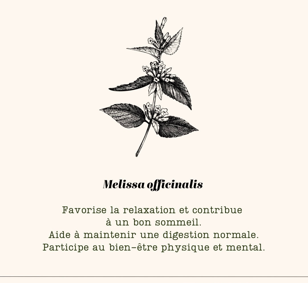 N•5 Plantes – Ortie, Artichaut, Menthe Poivrée, Romarin, Mélisse