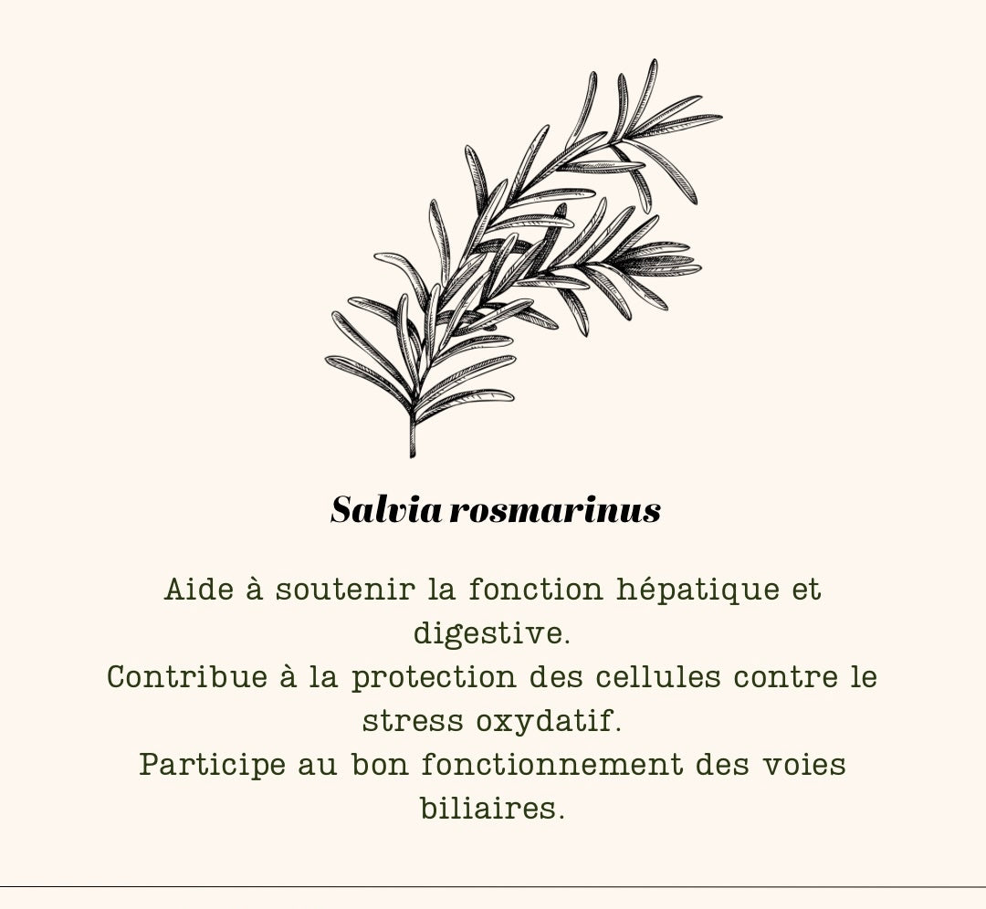 N•5 Plantes – Ortie, Artichaut, Menthe Poivrée, Romarin, Mélisse