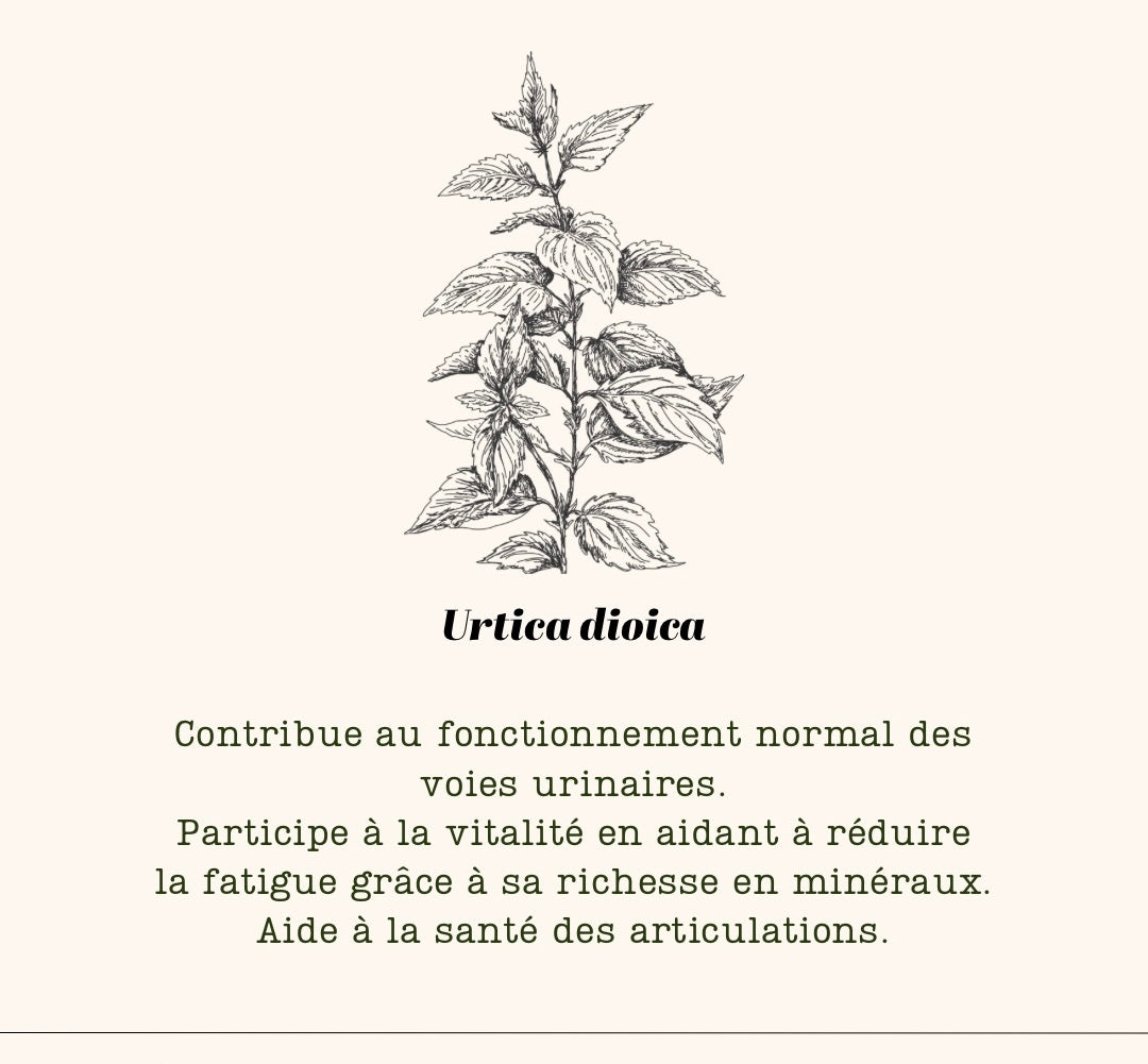 N•5 Plantes – Ortie, Artichaut, Menthe Poivrée, Romarin, Mélisse