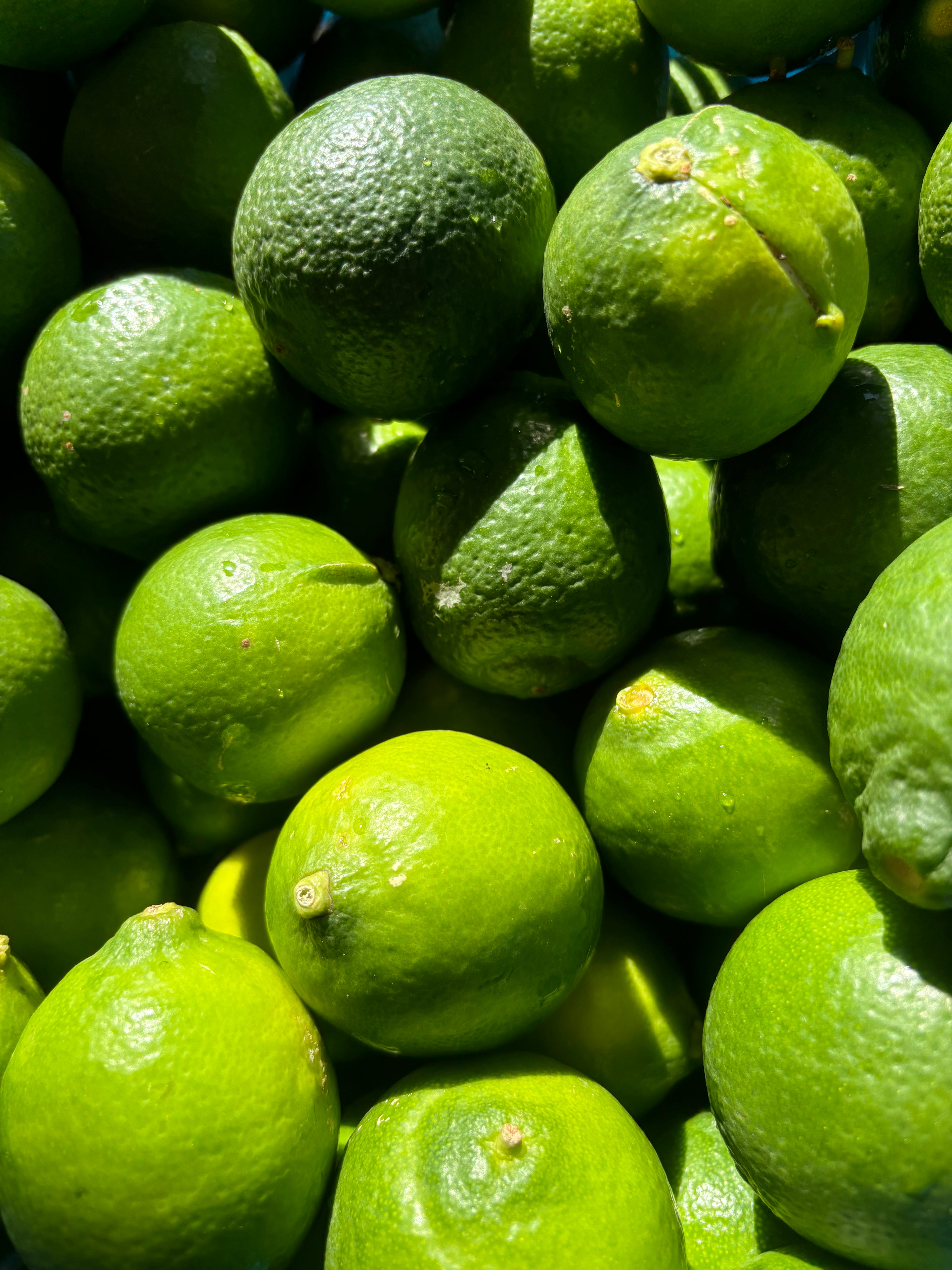 N•2 | Menthe, Citron, Gingembre, Thym, Romarin