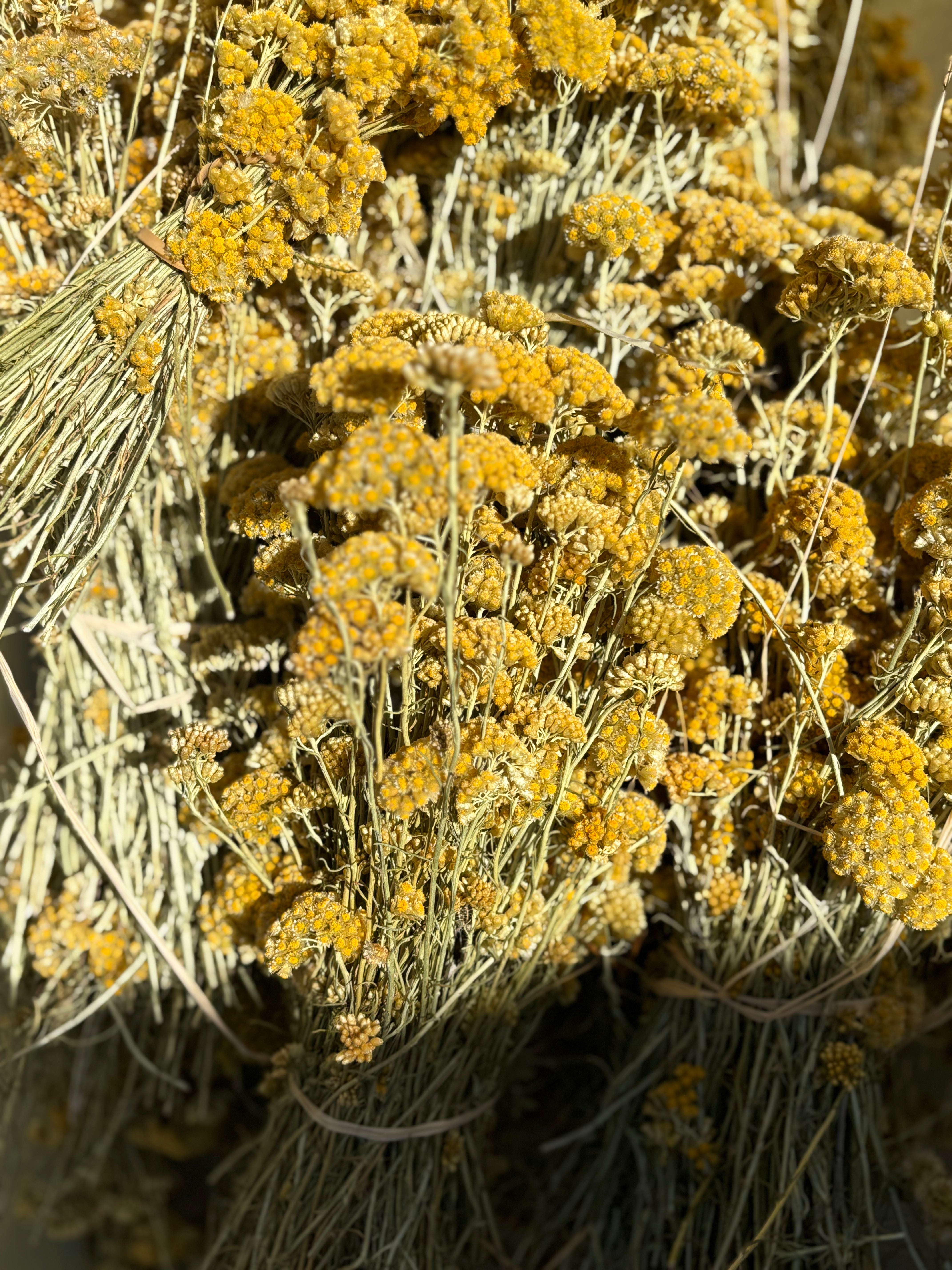 Huile précieuse à l’Immortelle Corse