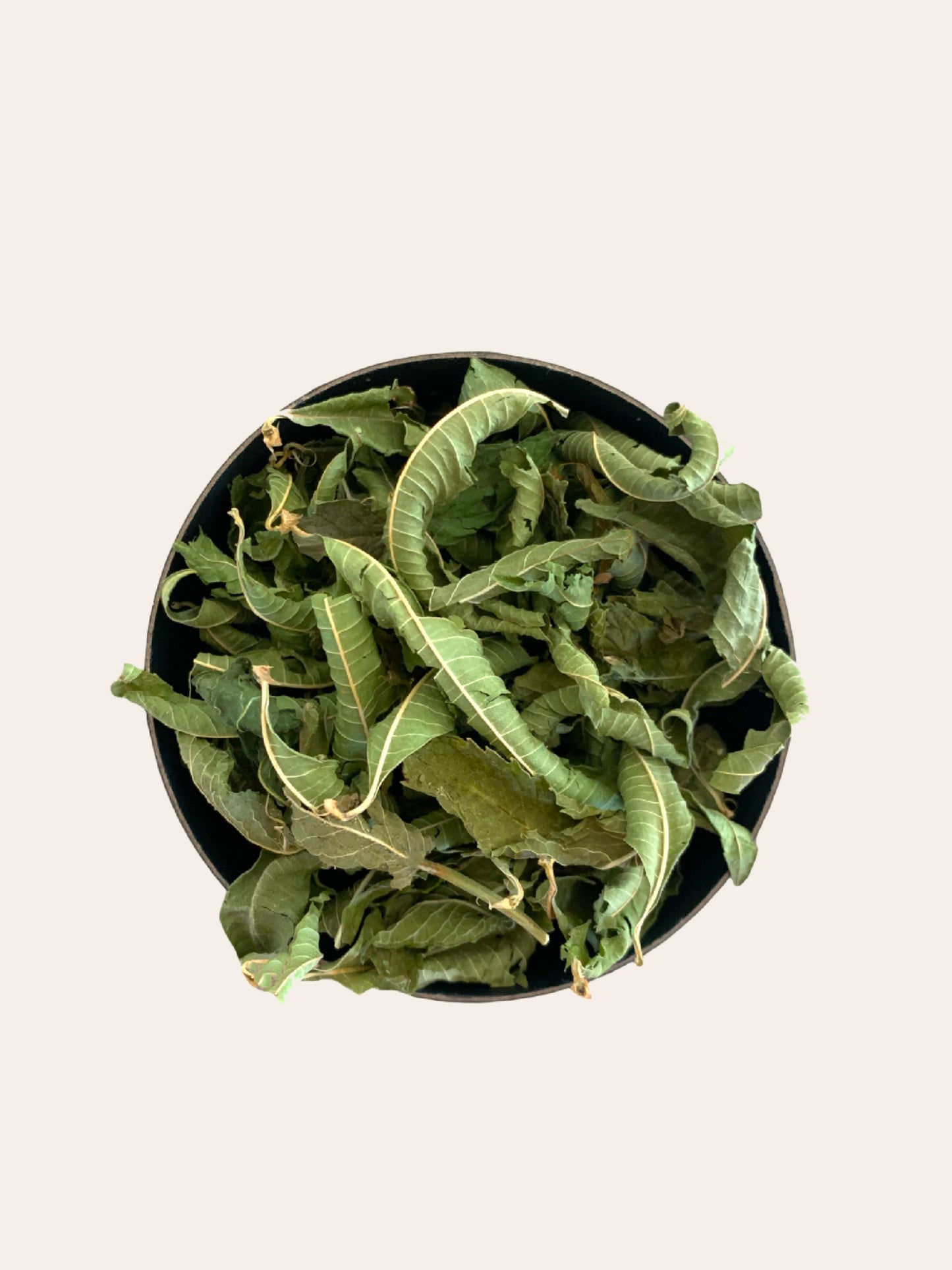 VERVEINE MENTHE